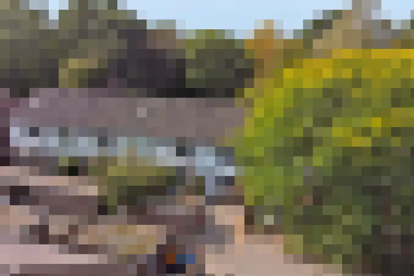 Trashorst 23 Doetinchem thumbnail 40