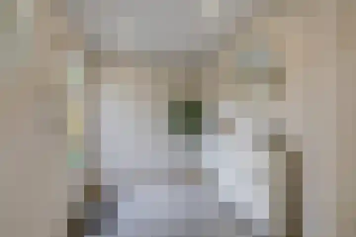 Trashorst 3 Doetinchem thumbnail 12
