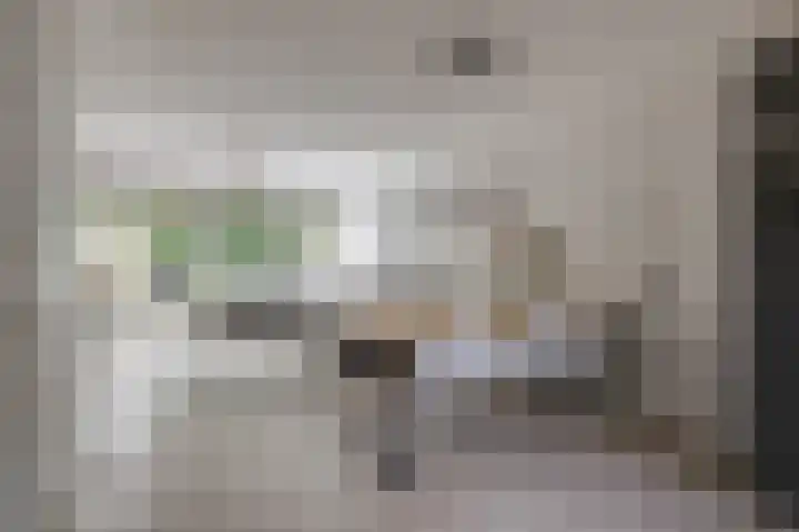 Trashorst 3 Doetinchem thumbnail 16