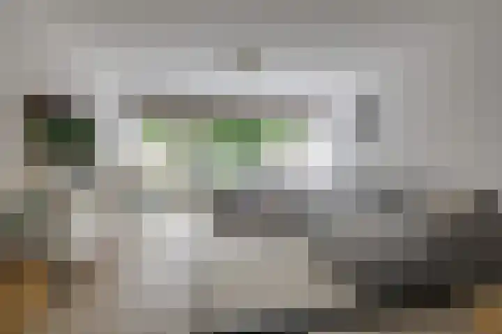 Trashorst 3 Doetinchem thumbnail 17