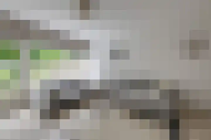 Trashorst 3 Doetinchem thumbnail 19