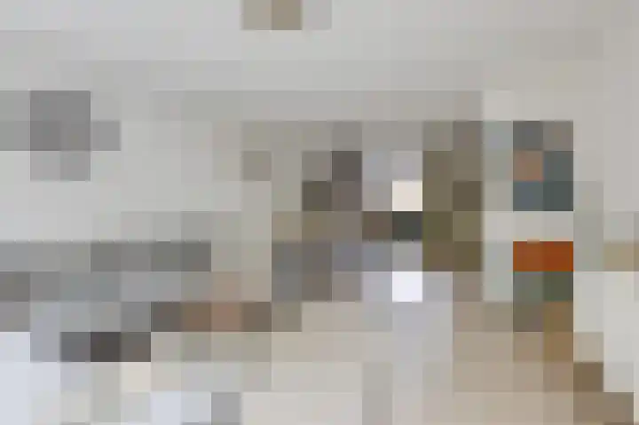 Trashorst 3 Doetinchem thumbnail 20