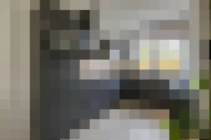 Trashorst 3 Doetinchem thumbnail 22