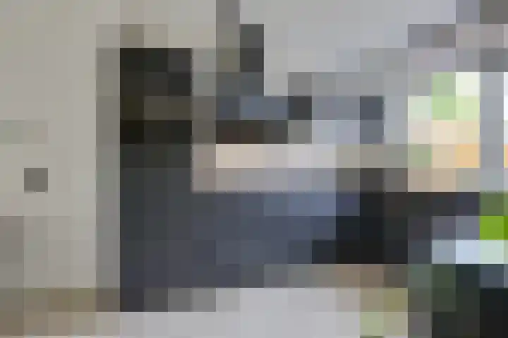 Trashorst 3 Doetinchem thumbnail 23