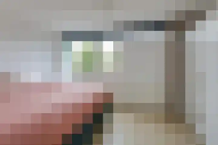 Trashorst 3 Doetinchem thumbnail 25