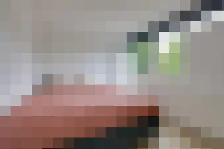 Trashorst 3 Doetinchem thumbnail 26