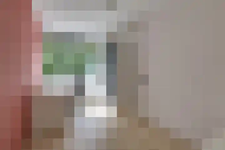 Trashorst 3 Doetinchem thumbnail 30