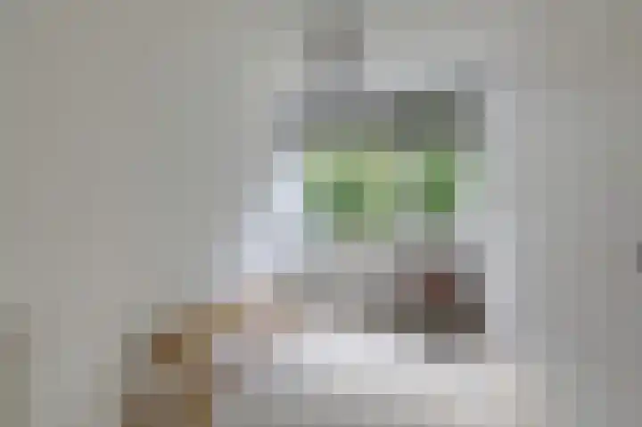 Trashorst 3 Doetinchem thumbnail 32