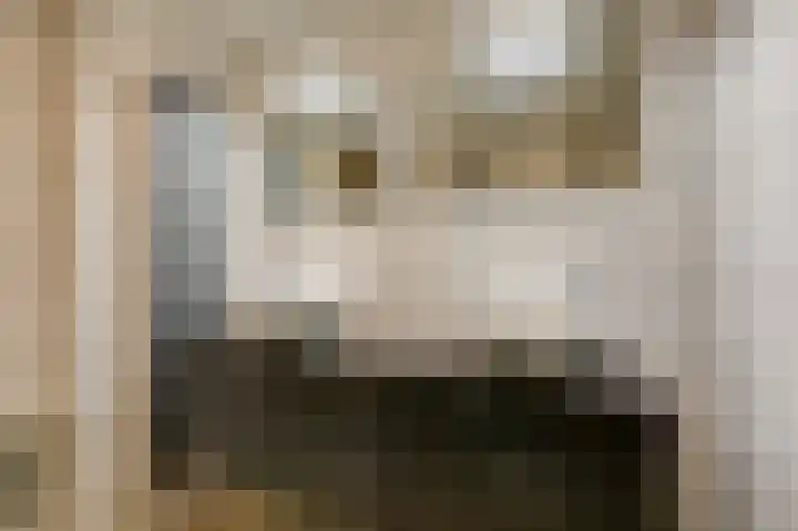 Trashorst 3 Doetinchem thumbnail 34