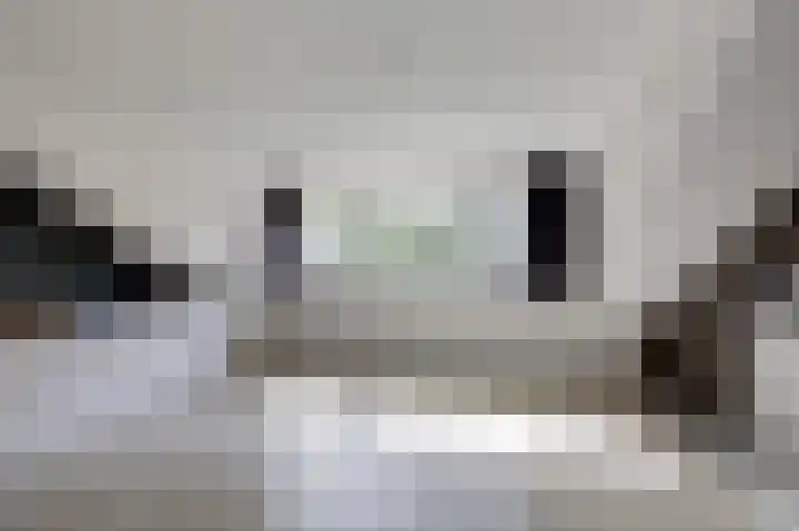 Trashorst 3 Doetinchem thumbnail 37