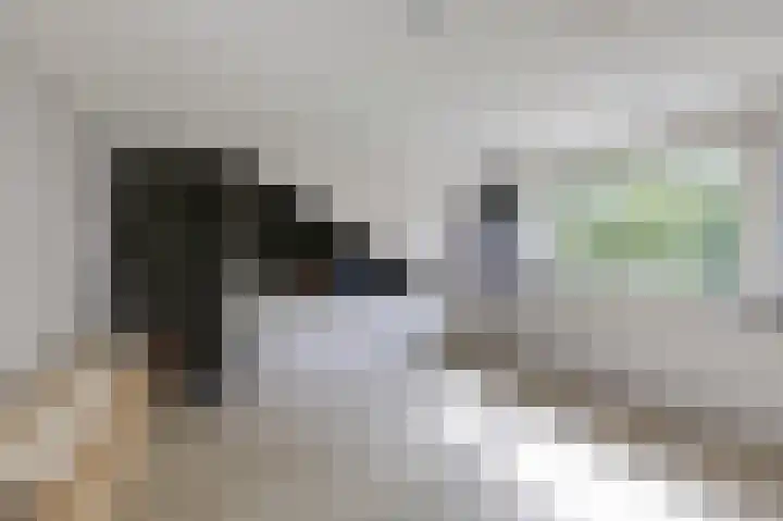 Trashorst 3 Doetinchem thumbnail 38