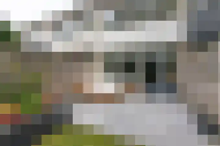 Trashorst 3 Doetinchem thumbnail 40