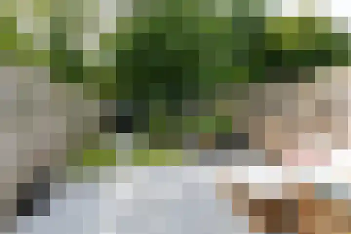 Trashorst 3 Doetinchem thumbnail 41
