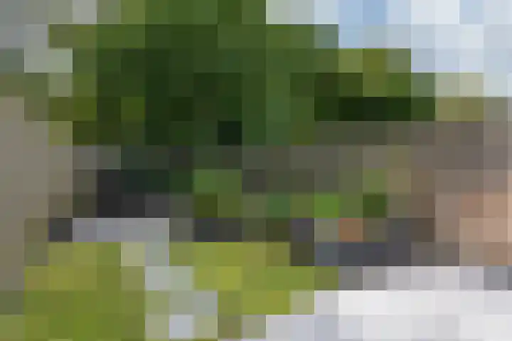 Trashorst 3 Doetinchem thumbnail 42