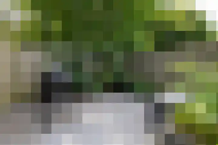 Trashorst 3 Doetinchem thumbnail 43