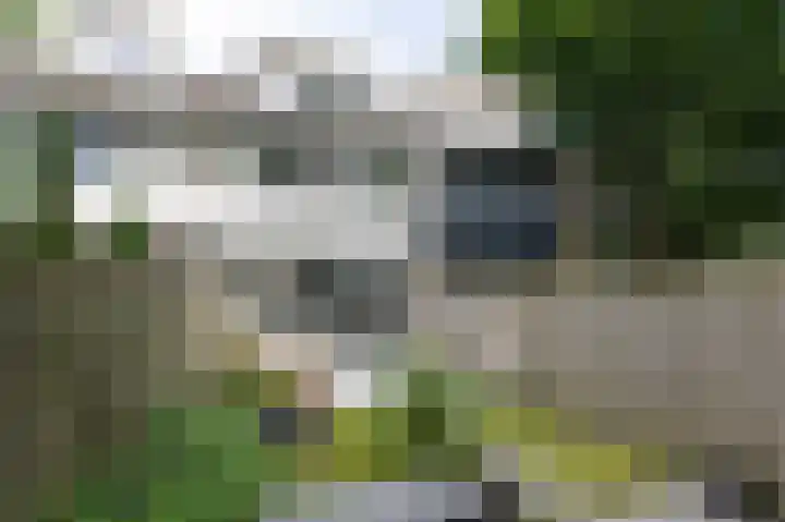 Trashorst 3 Doetinchem thumbnail 44