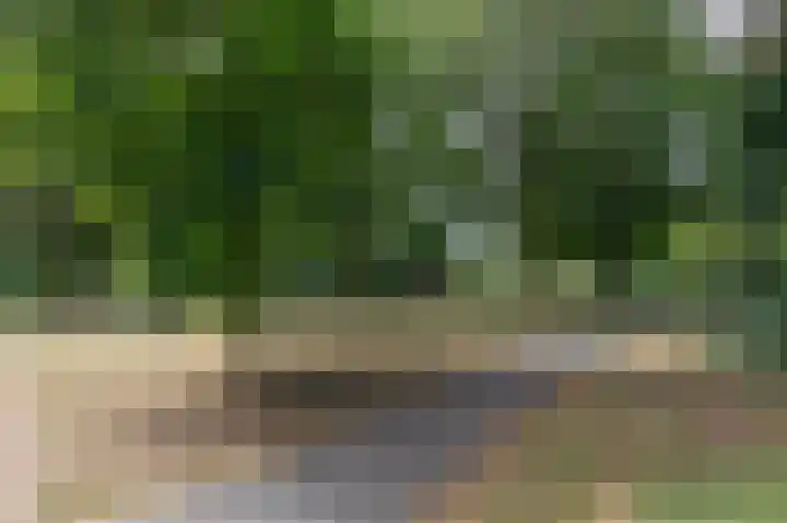 Trashorst 3 Doetinchem thumbnail 46