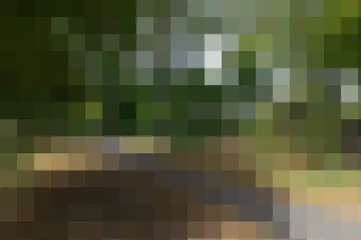 Trashorst 3 Doetinchem thumbnail 47
