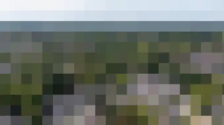Trashorst 3 Doetinchem thumbnail 48