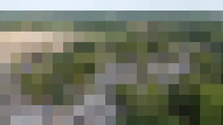 Trashorst 3 Doetinchem thumbnail 49
