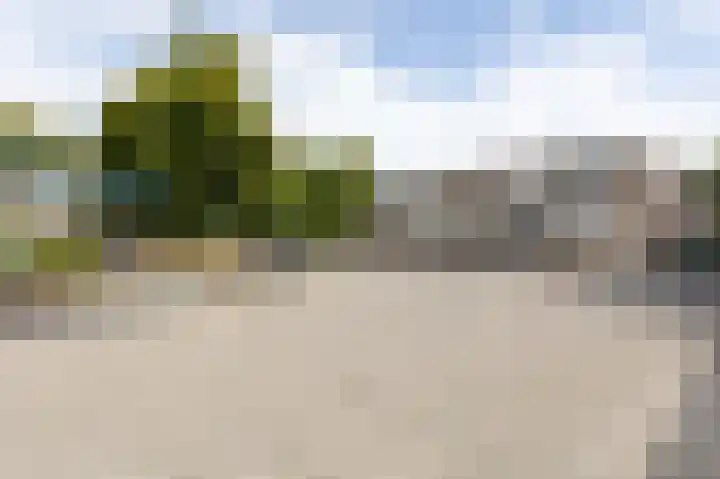 Trashorst 3 Doetinchem thumbnail 5