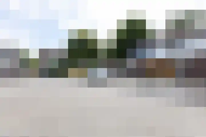 Trashorst 3 Doetinchem thumbnail 6