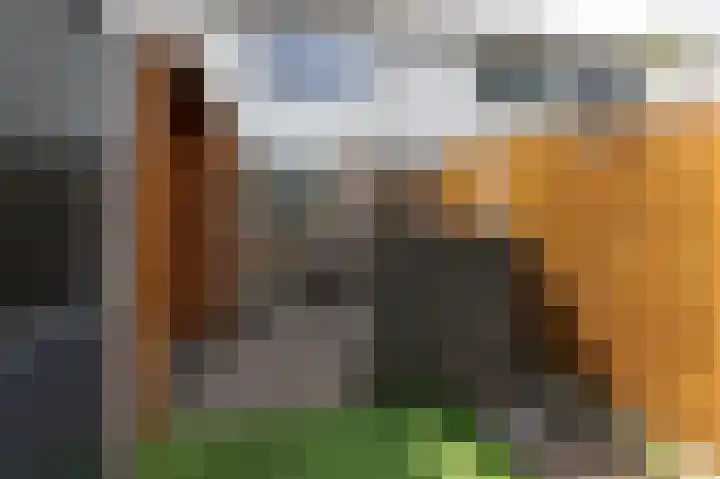 Trashorst 3 Doetinchem thumbnail 8