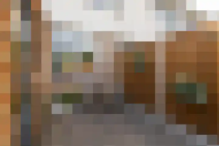Trashorst 3 Doetinchem thumbnail 9