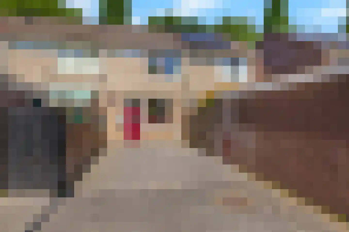 Trashorst 45 Doetinchem thumbnail 10