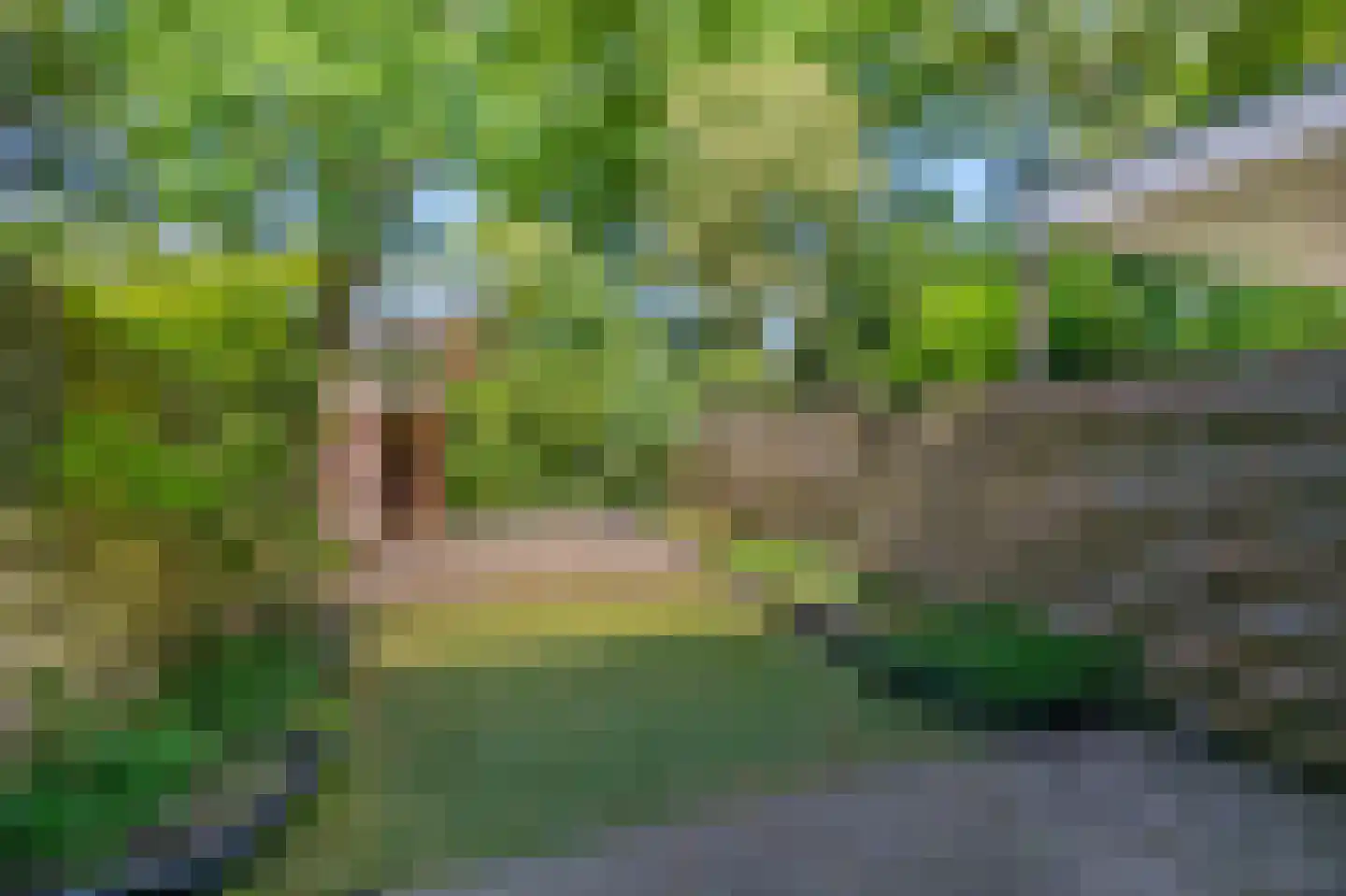 Trashorst 45 Doetinchem thumbnail 22