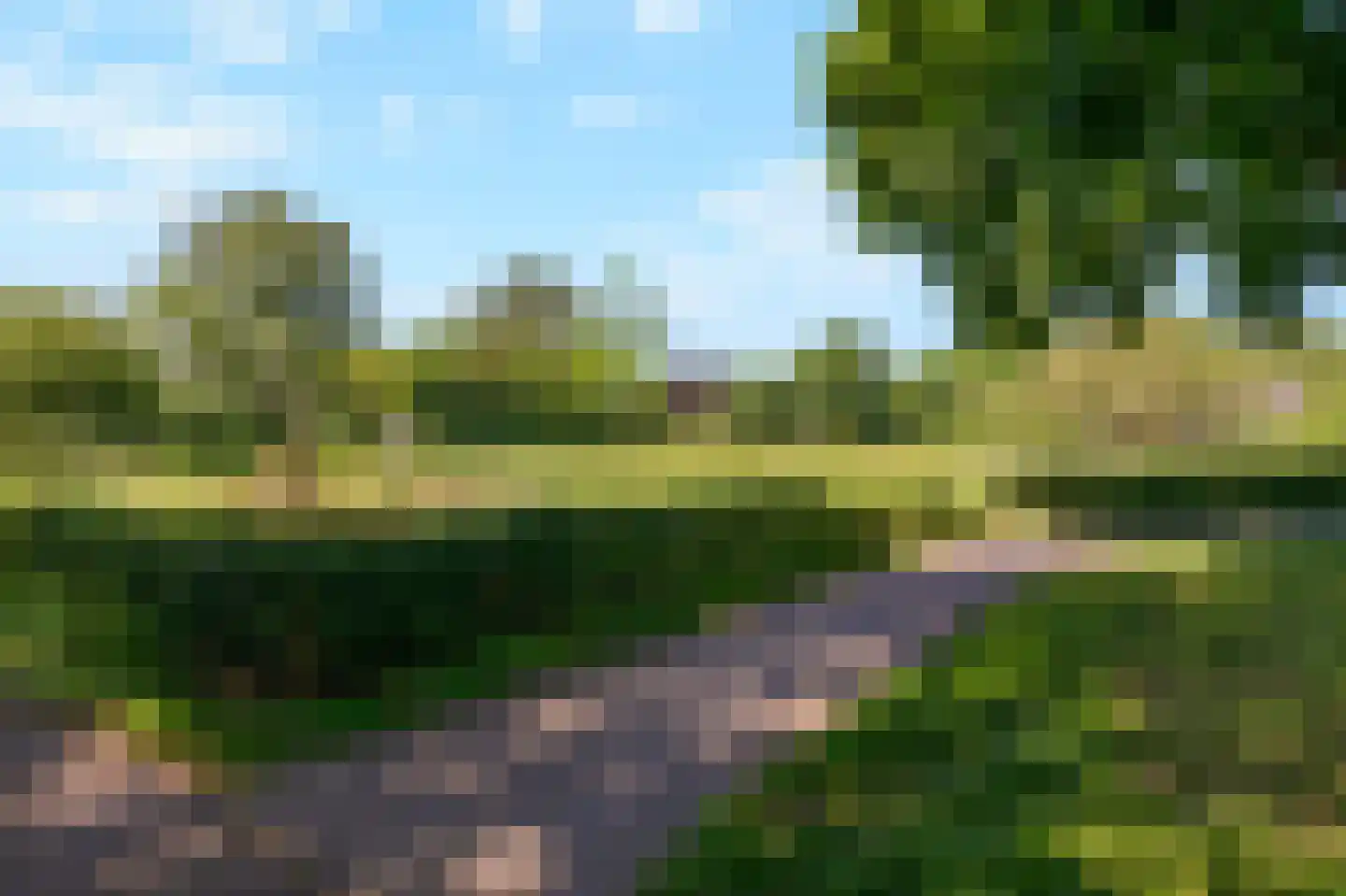 Trashorst 45 Doetinchem thumbnail 39