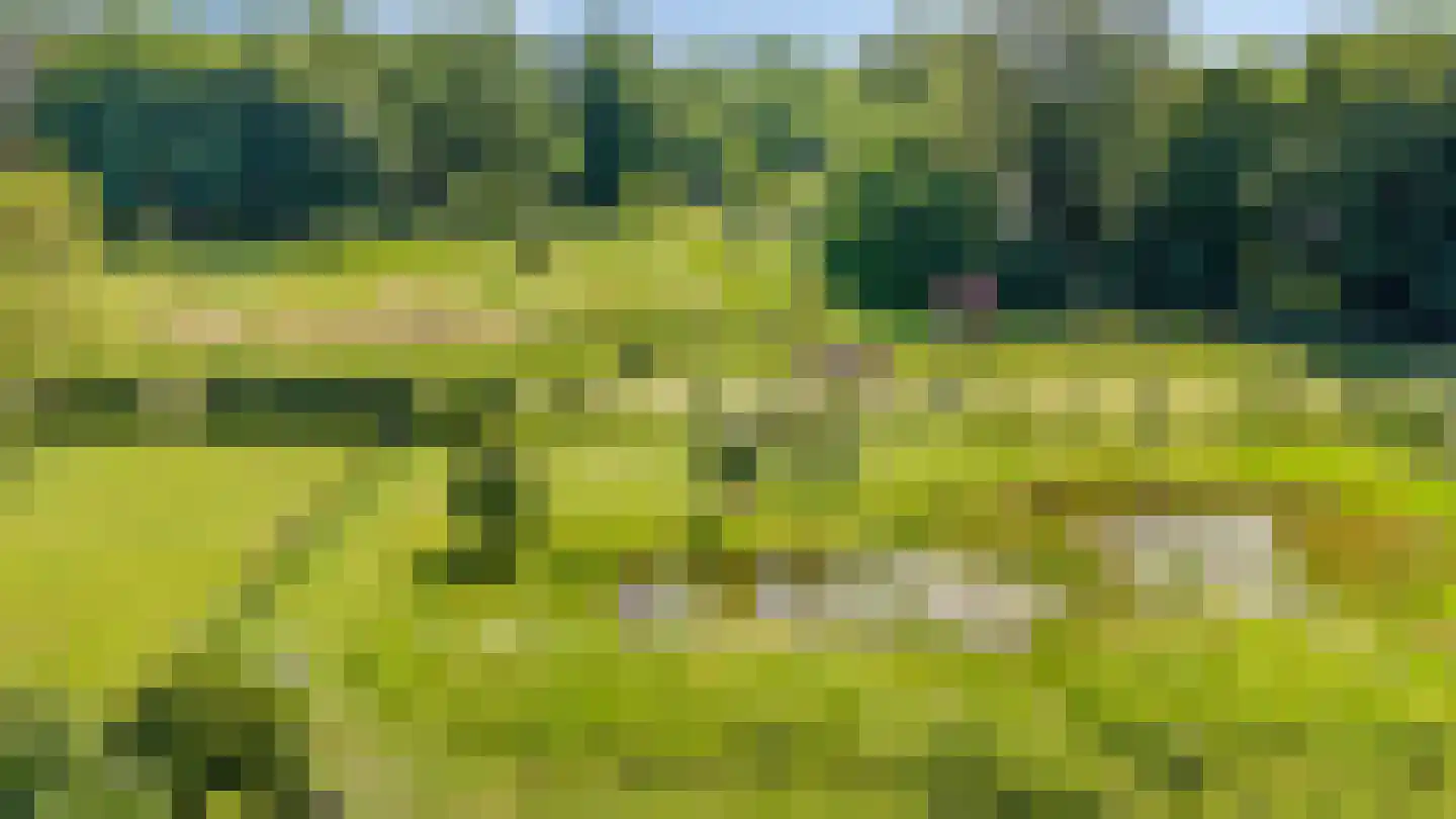 Trashorst 45 Doetinchem thumbnail 5