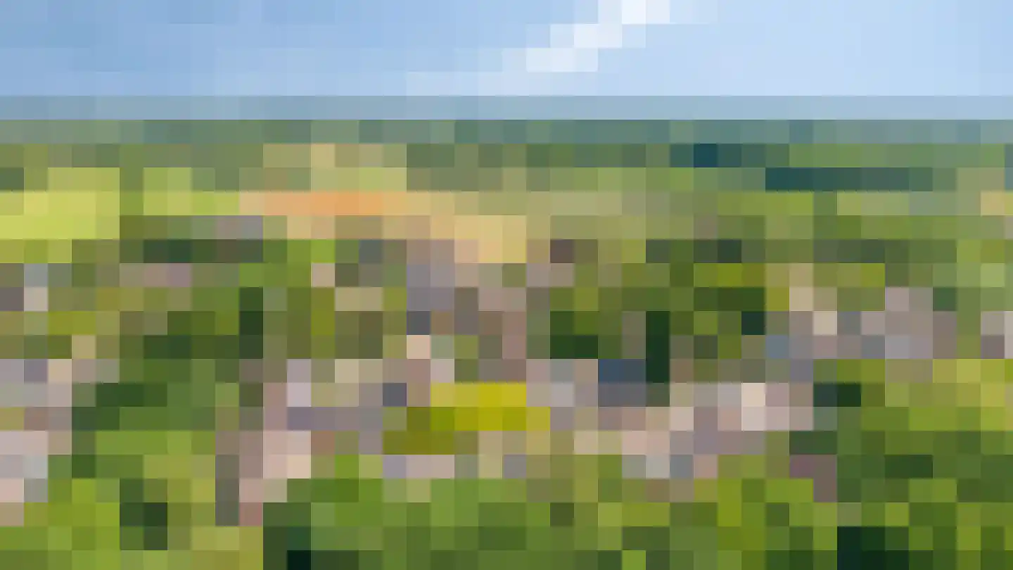 Trashorst 45 Doetinchem thumbnail 6