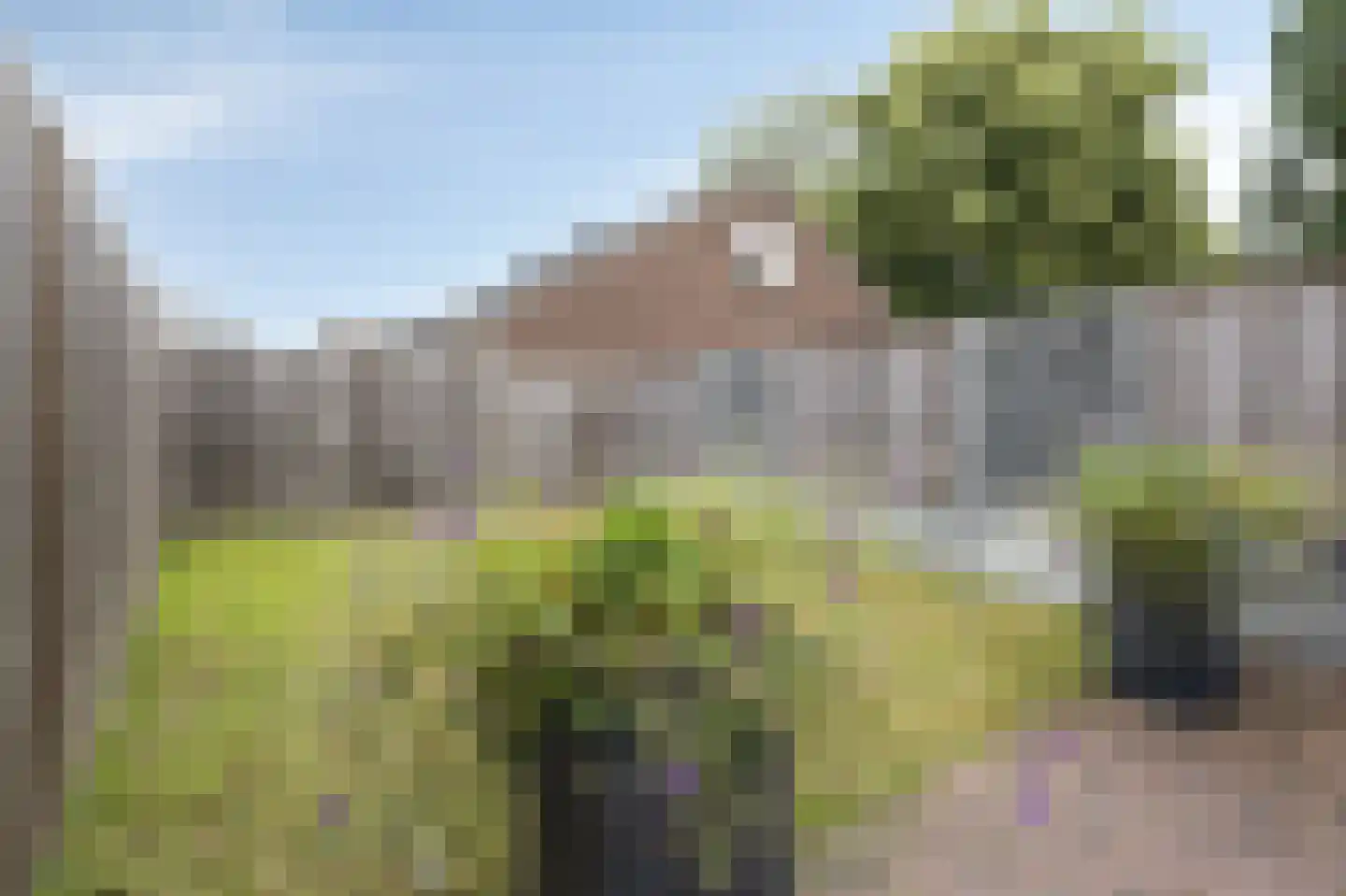 Trashorst 73 Doetinchem thumbnail 19