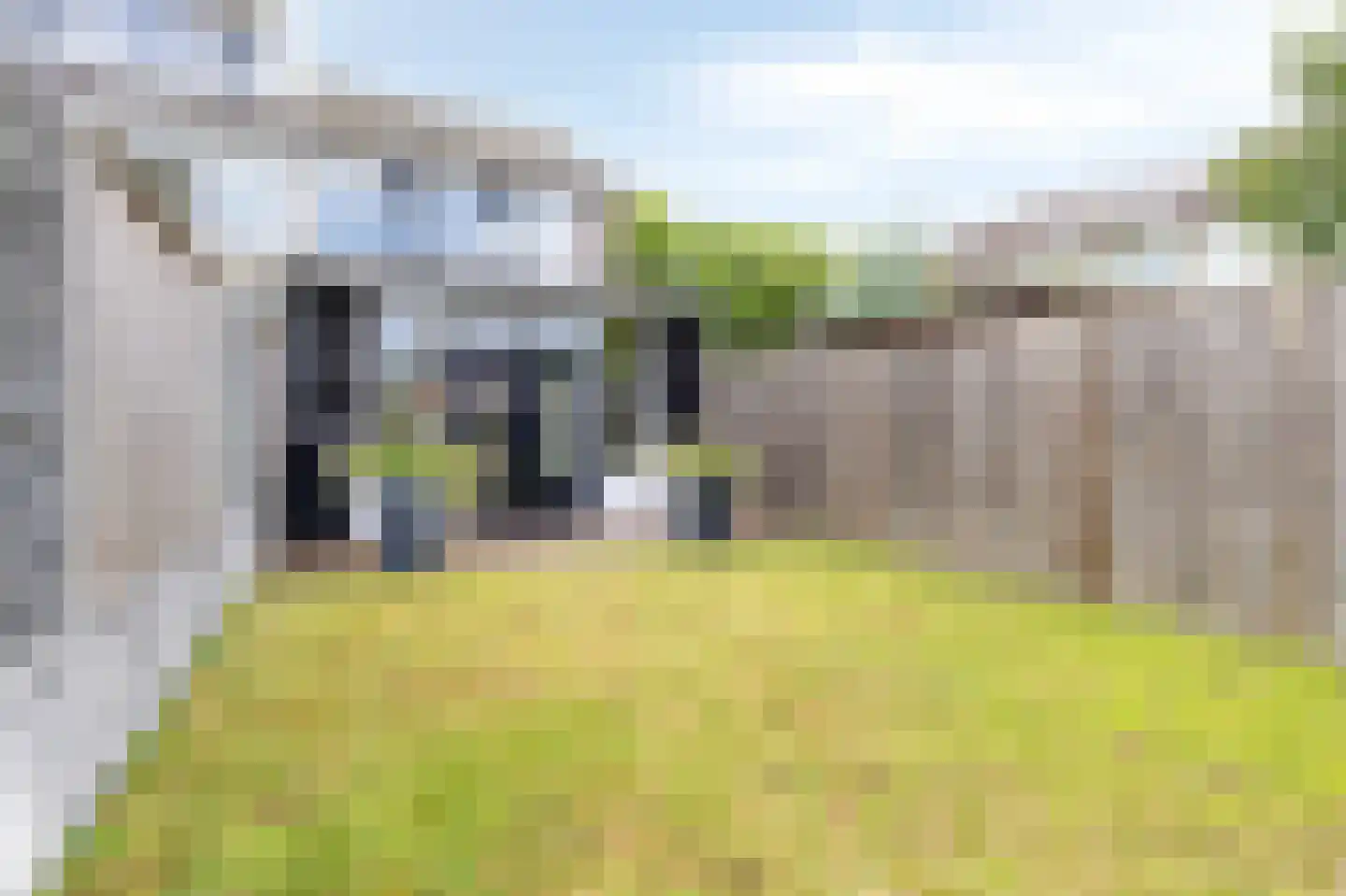 Trashorst 73 Doetinchem thumbnail 21