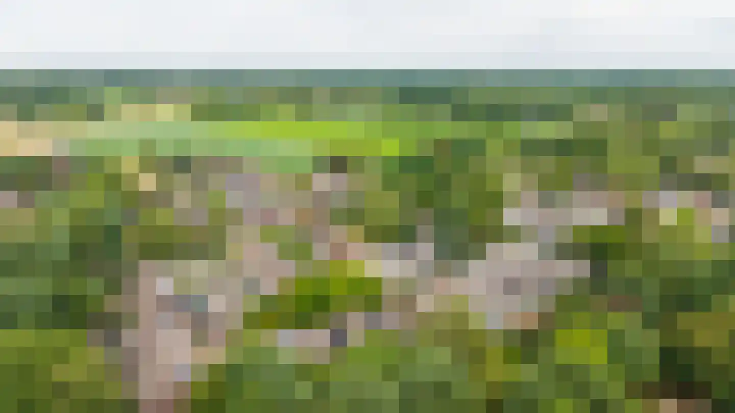 Trashorst 73 Doetinchem thumbnail 4