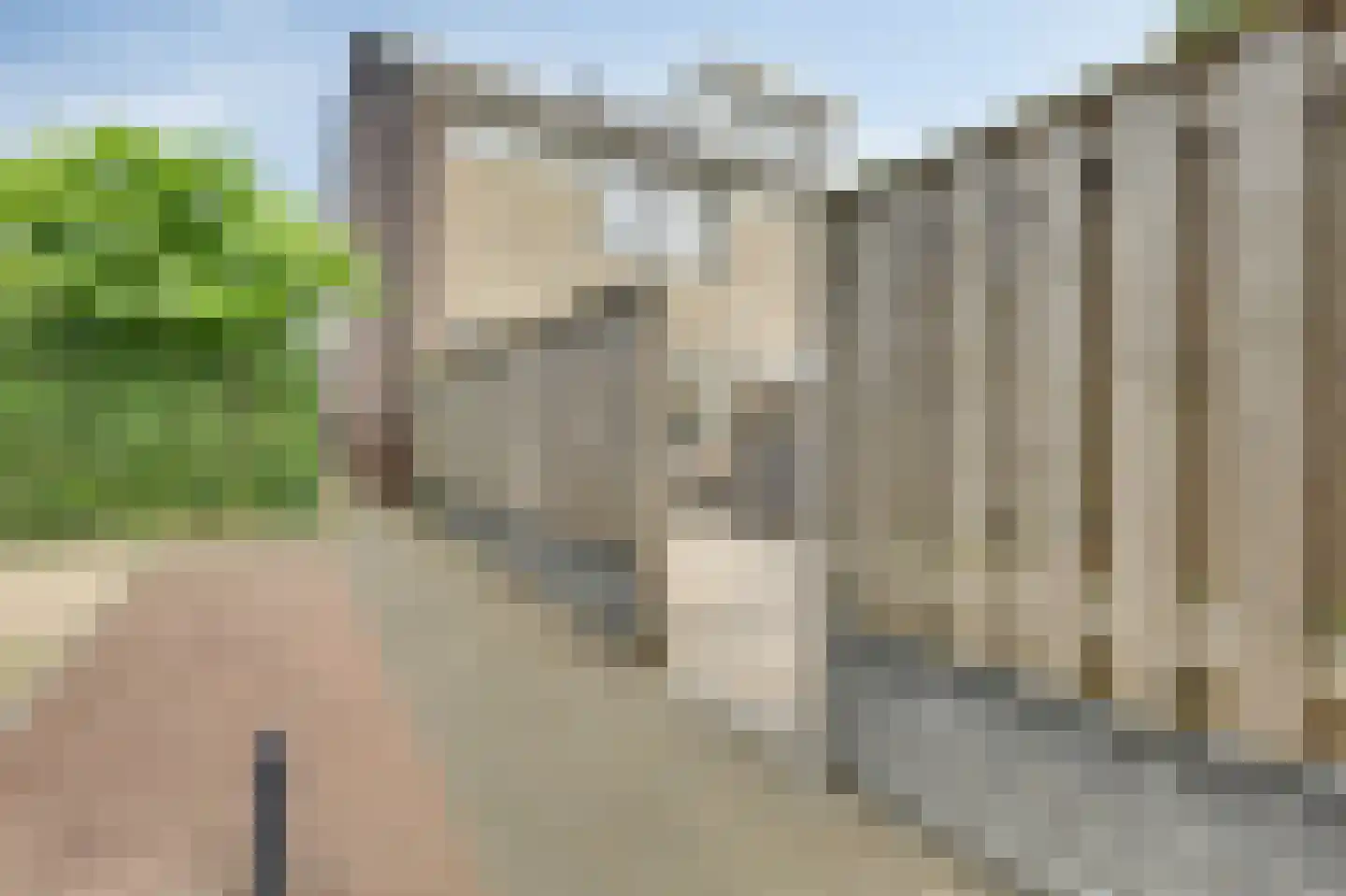 Trashorst 73 Doetinchem thumbnail 43