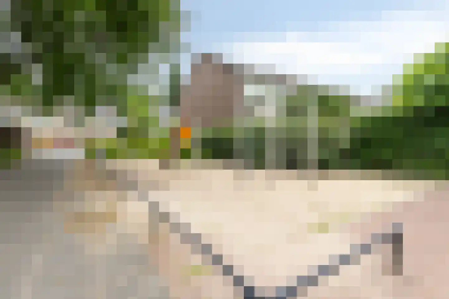 Trashorst 73 Doetinchem thumbnail 45