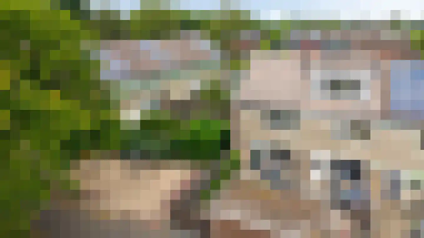 Trashorst 73 Doetinchem thumbnail 46