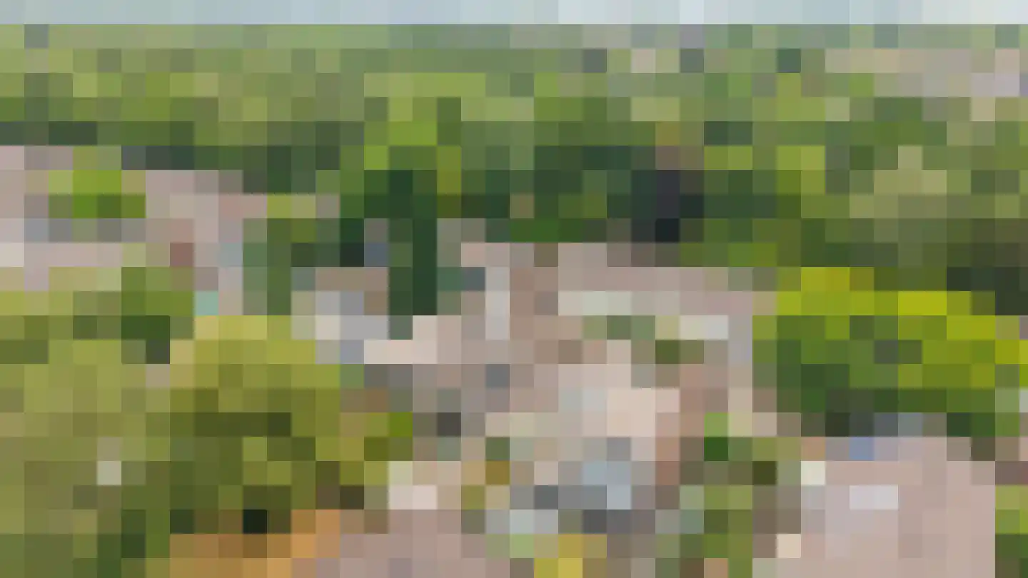 Trashorst 73 Doetinchem thumbnail 48