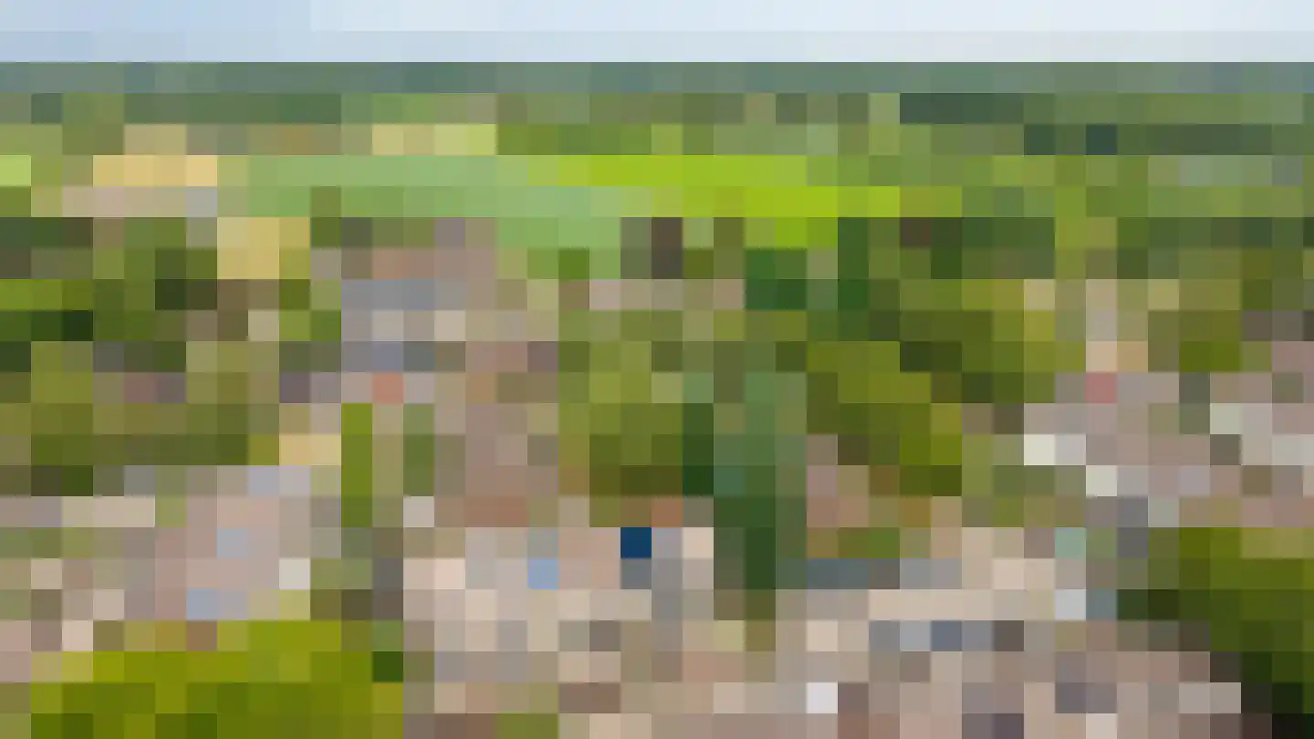 Trashorst 73 Doetinchem thumbnail 49