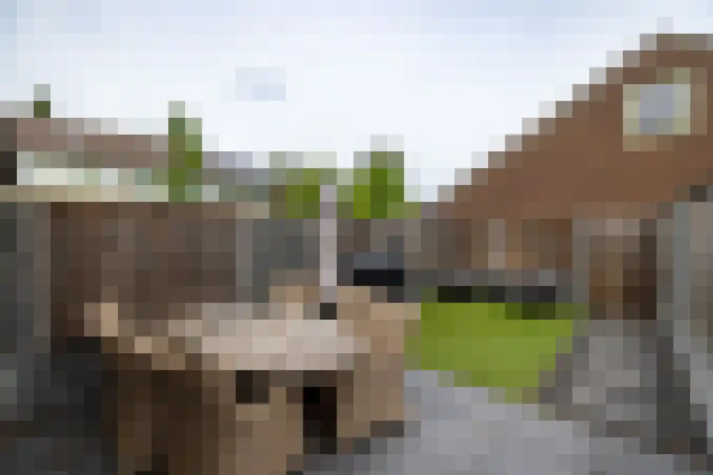 Trashorst 75 Doetinchem thumbnail 15