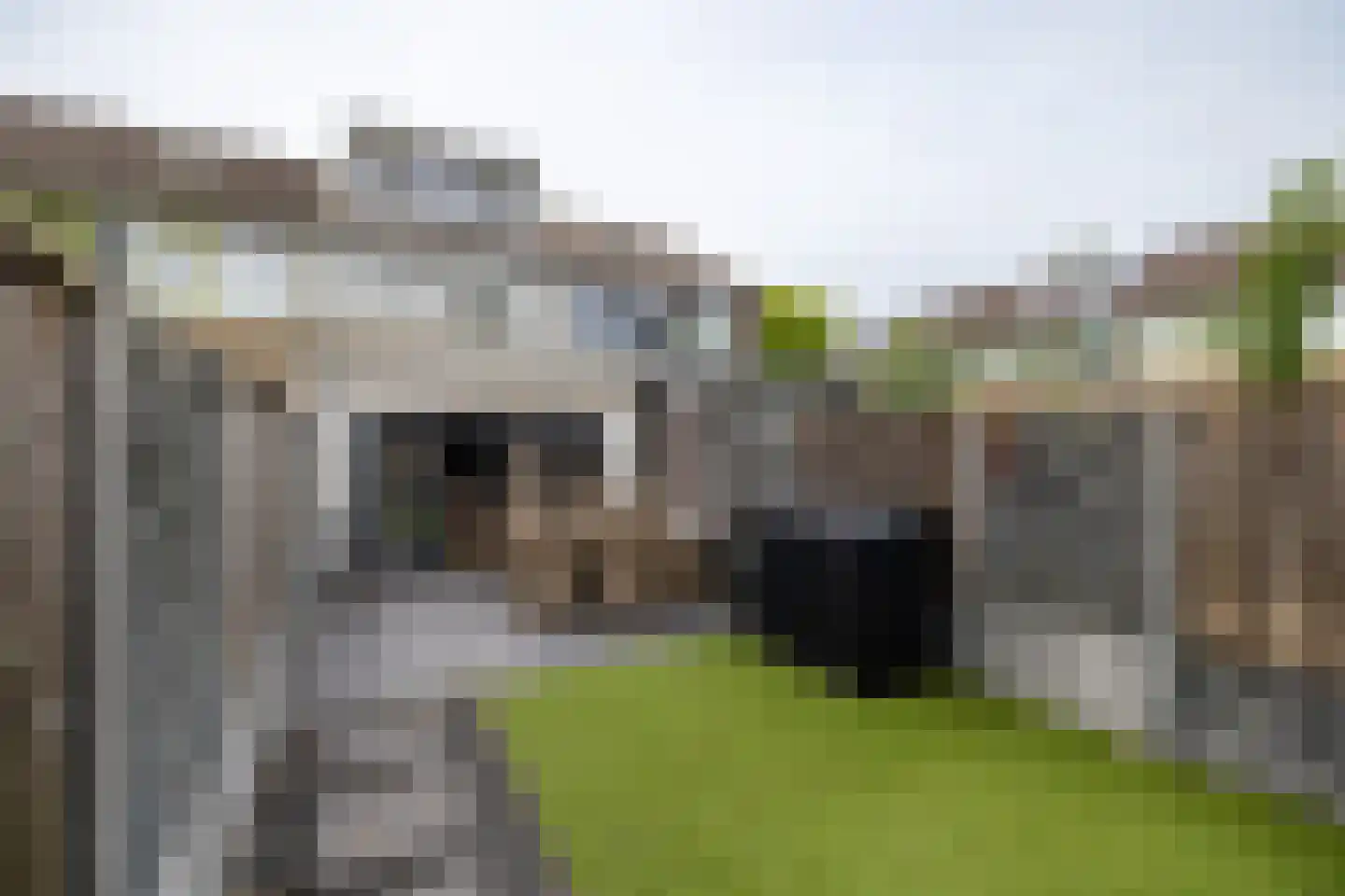 Trashorst 75 Doetinchem thumbnail 16
