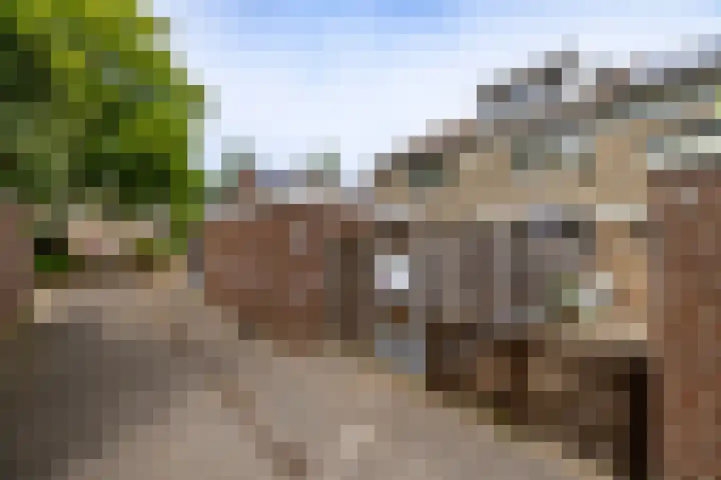 Trashorst 75 Doetinchem thumbnail 18