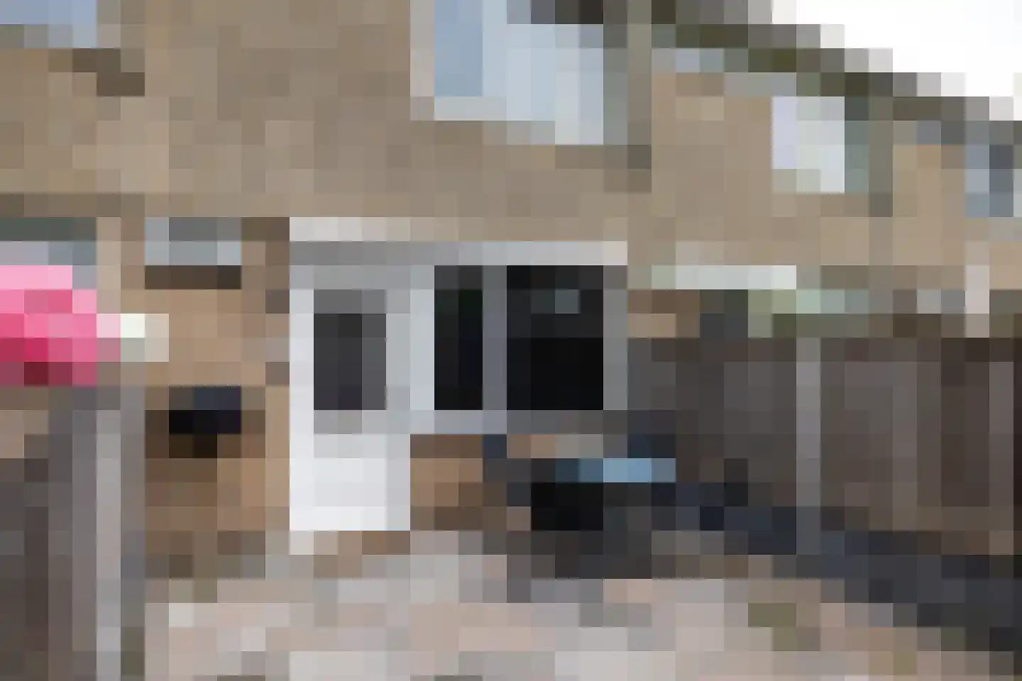 Trashorst 75 Doetinchem thumbnail 19