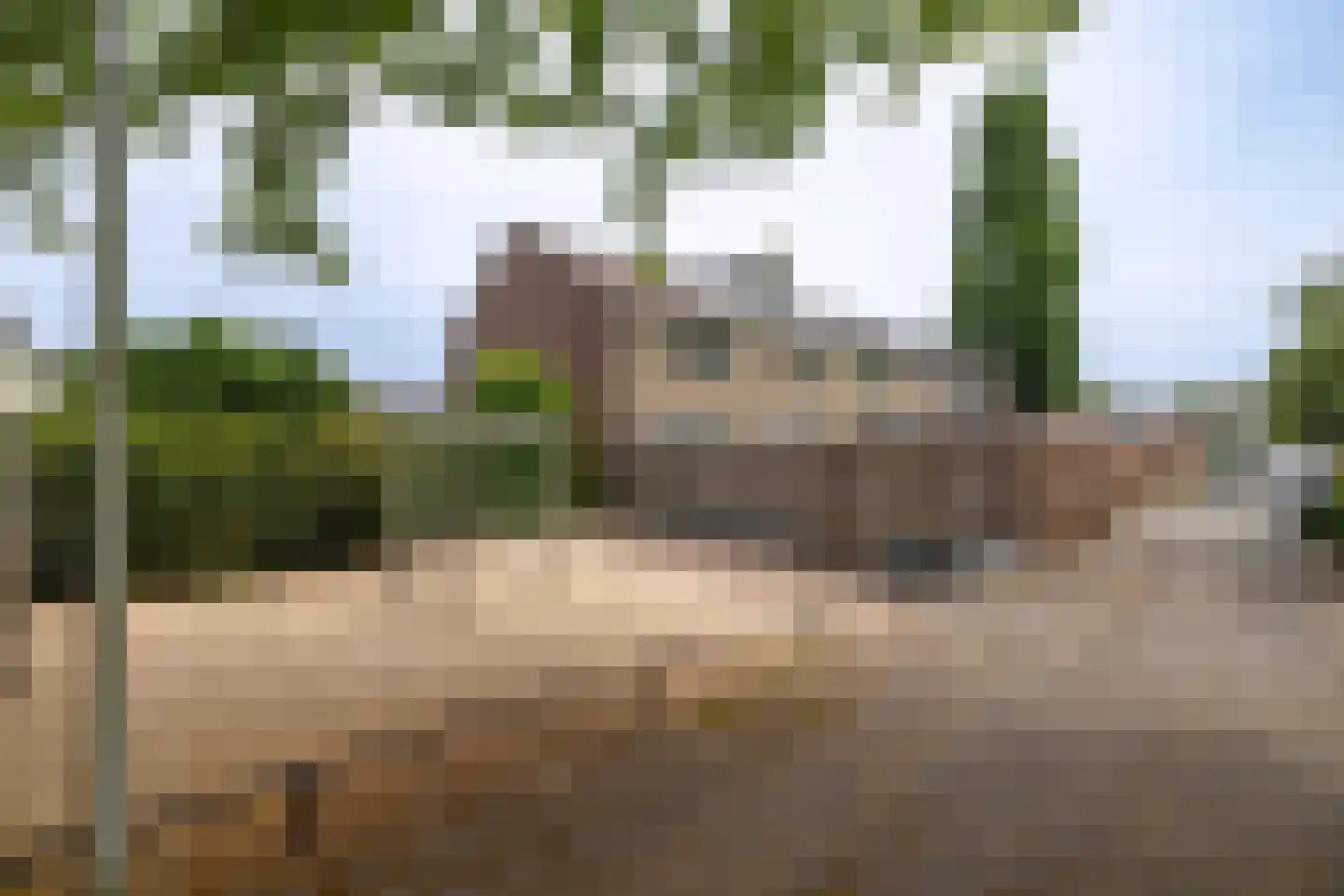 Trashorst 75 Doetinchem thumbnail 42