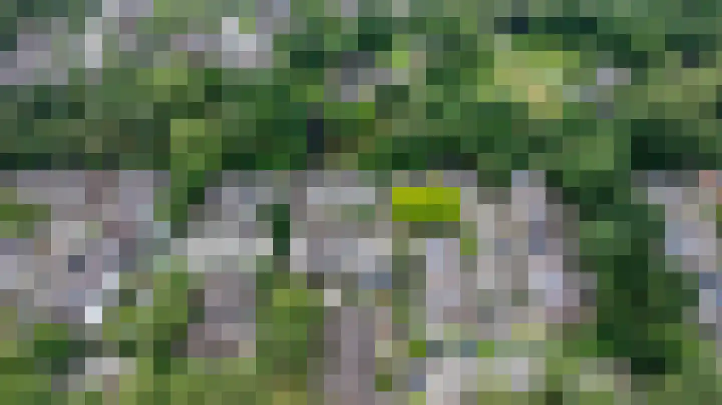 Trashorst 75 Doetinchem thumbnail 48