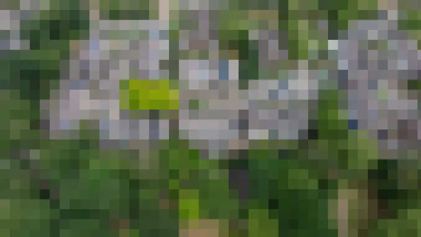 Trashorst 75 Doetinchem thumbnail 49