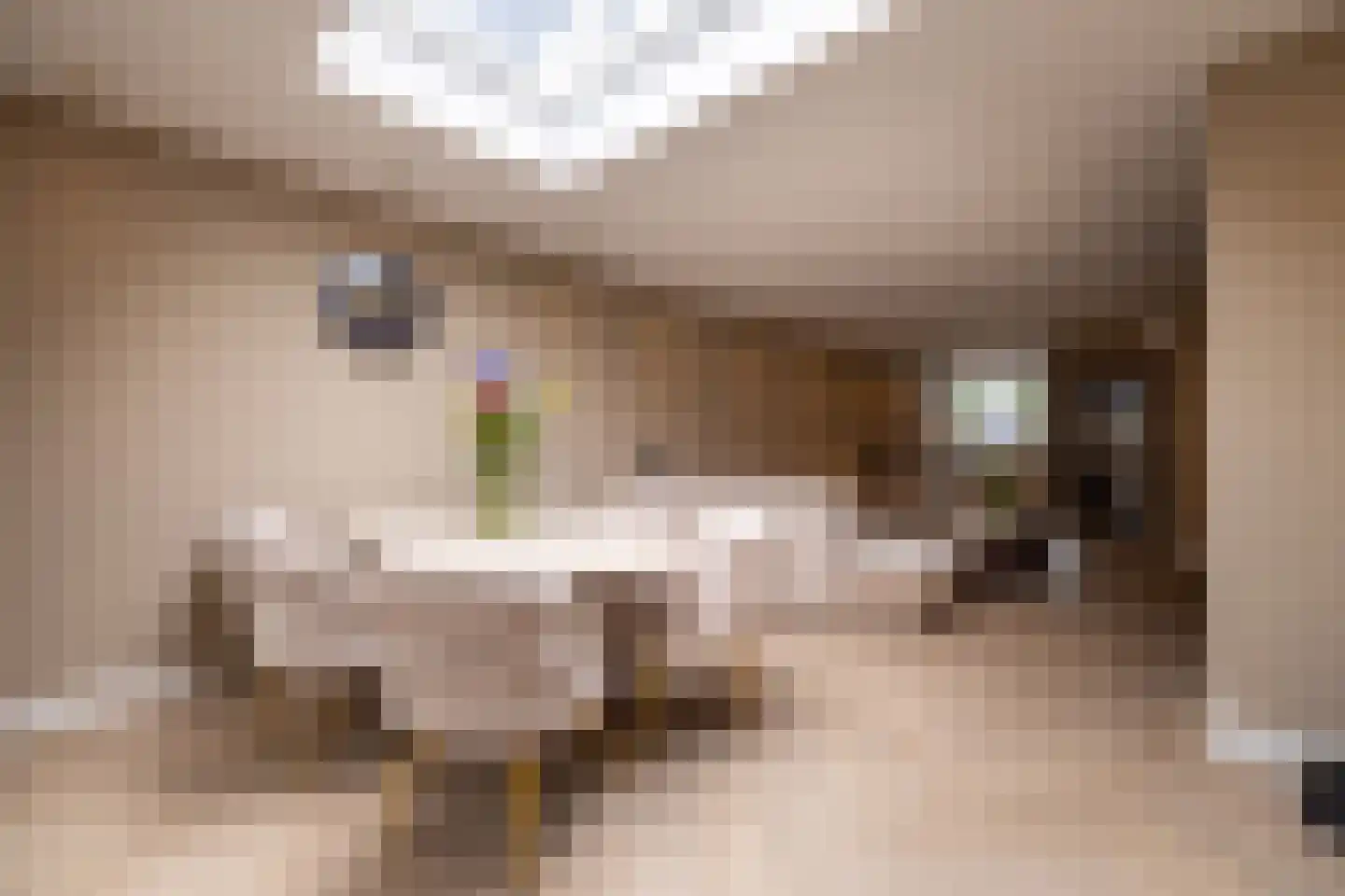 Trashorst 75 Doetinchem thumbnail 7