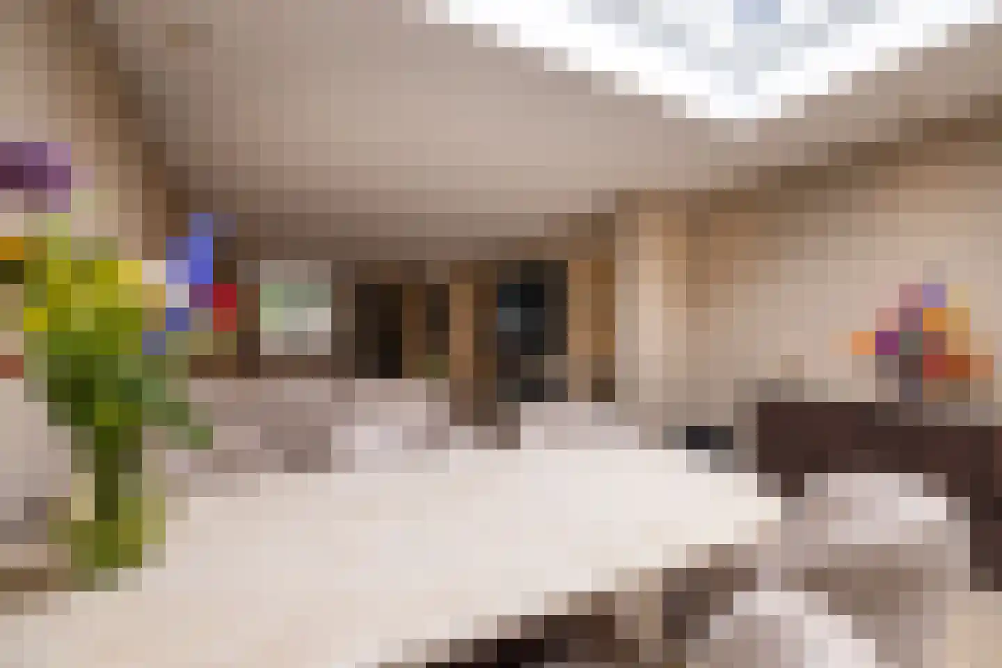 Trashorst 75 Doetinchem thumbnail 8